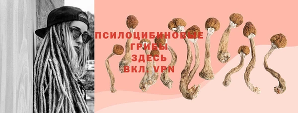 гашик Алексеевка
