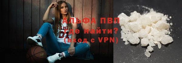 гашик Алексеевка