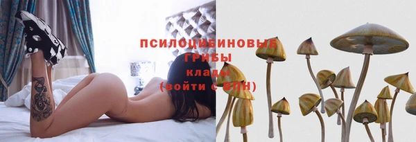тгк Алзамай