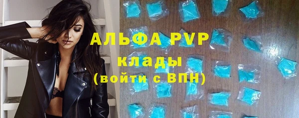гашик Алексеевка