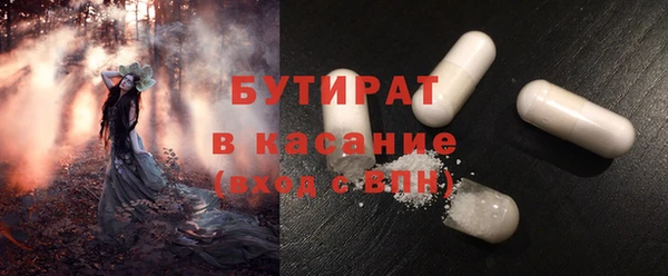 индика Каменногорск