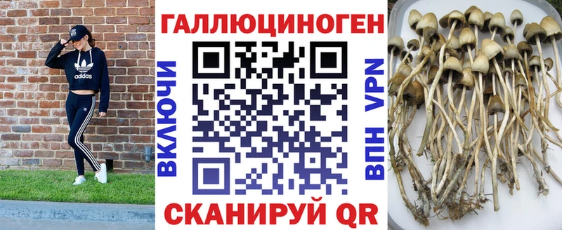 Псилоцибиновые грибы GOLDEN TEACHER  купить закладку  Арамиль 