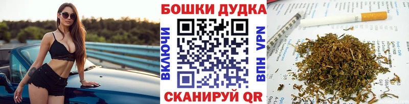 купить наркотики сайты  Арамиль  MEGA как войти  Бошки марихуана тримм 